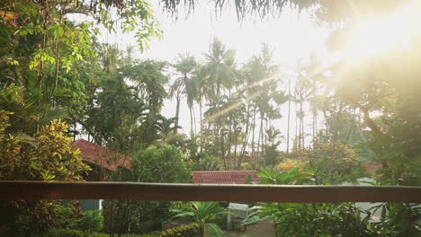 a group of travelers balancing on one leg during a a sunset meditation and yoga session on a sunny wooden porch overlooking the rainforest and jungle leading out to the beach.