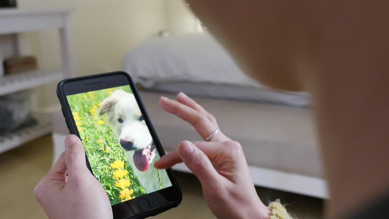 mujer desplazándose y eligiendo una foto de mascota de su teléfono inteligente