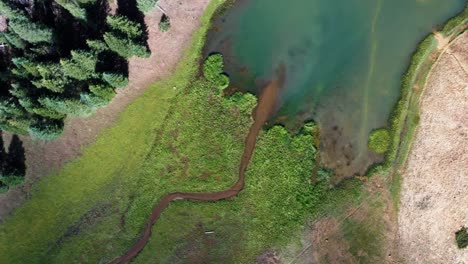 Beautiful-aerial-drone-top-bird's-eye-spinning-shot-of-a-small-stream-surrounded-by-a-field-of-grass-that-leads-into-the-Anderson-Meadow-Reservoir-lake-up-Beaver-Canyon-in-Utah-on-a-warm-summer-day