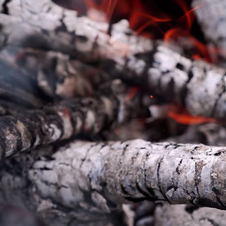 smoldered logs in slight fire. detailed motion of orange flame on white wooden embers. close-up.