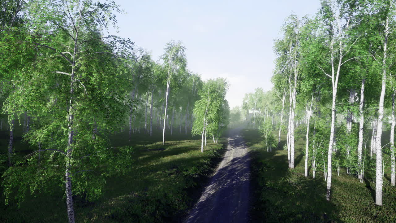 Lush green forest path inviting exploration in a tranquil morning light