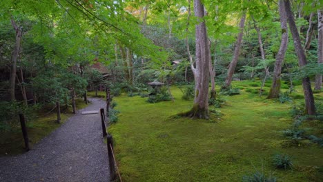 Der-Buddhistische-Tempel-Von-Gioju-In-Japan-Verfügt-über-Verschiedene-Wege,-Auf-Denen-Sie-Inmitten-Des-Intensiven-Grüns-Des-Gartens-Und-Der-Tiefen-Ruhe-Des-Ortes-Spazieren-Gehen-Können