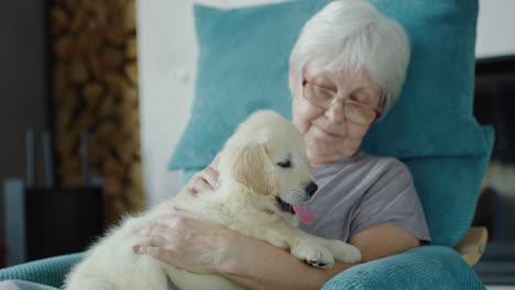 senior woman is resting in a chair with a puppy in her arms. home comfort and secure old age