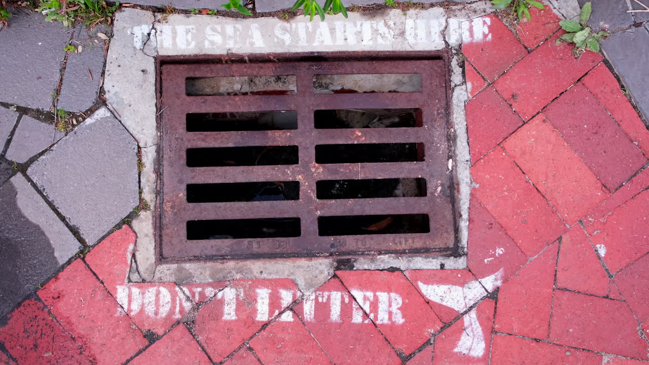 Don't Litter: The Sea Starts Here - Street Art on a Storm Drain