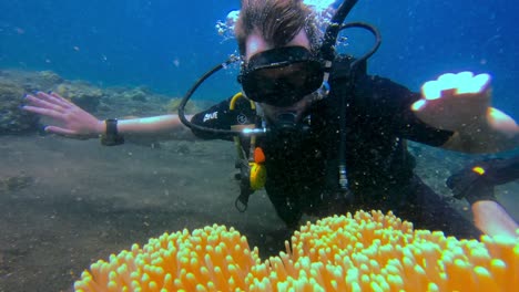 young diver looking closely at a clownfish inside an anemone on a tropical reef