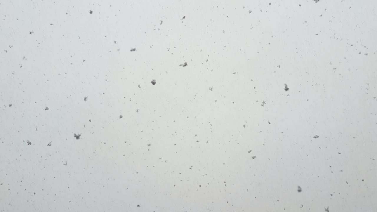 Minimal winter scene showing snowflakes falling in slow motion against a bright white sky, creating a clean and atmospheric seasonal background