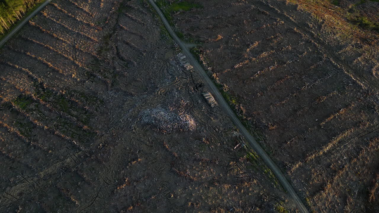 deforestación desastre cambio climático y calentamiento climático toma de la reserva recreativa de dunsdale