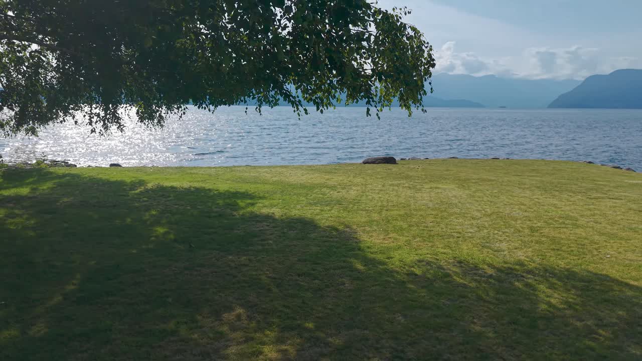 A peaceful seaside view features vibrant green grass and a large shade tree. The calm water reflects the sun, while majestic mountains create a scenic backdrop