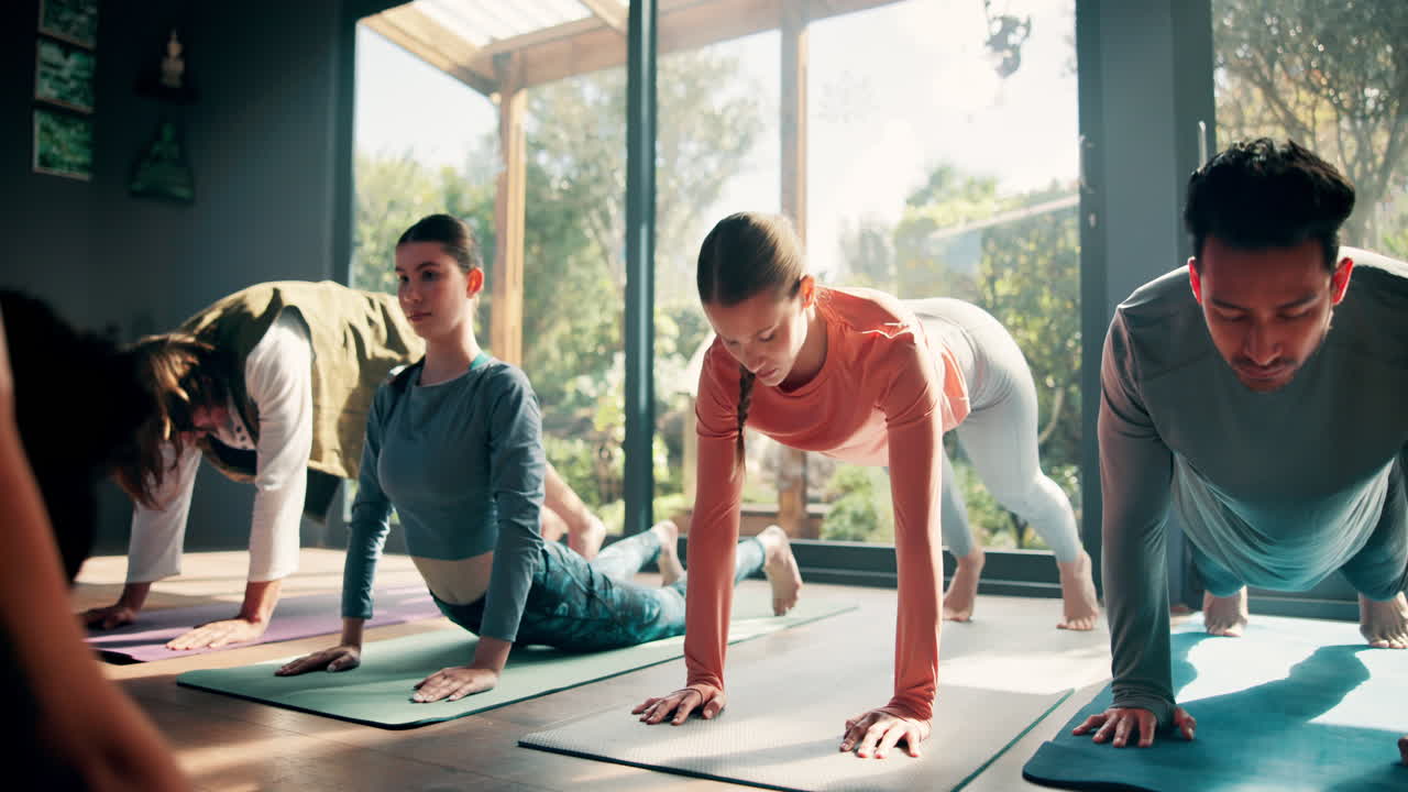 그룹 요가 아래로 향하는 개 포즈