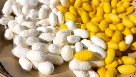 white and yellow cocoons displayed in a basket