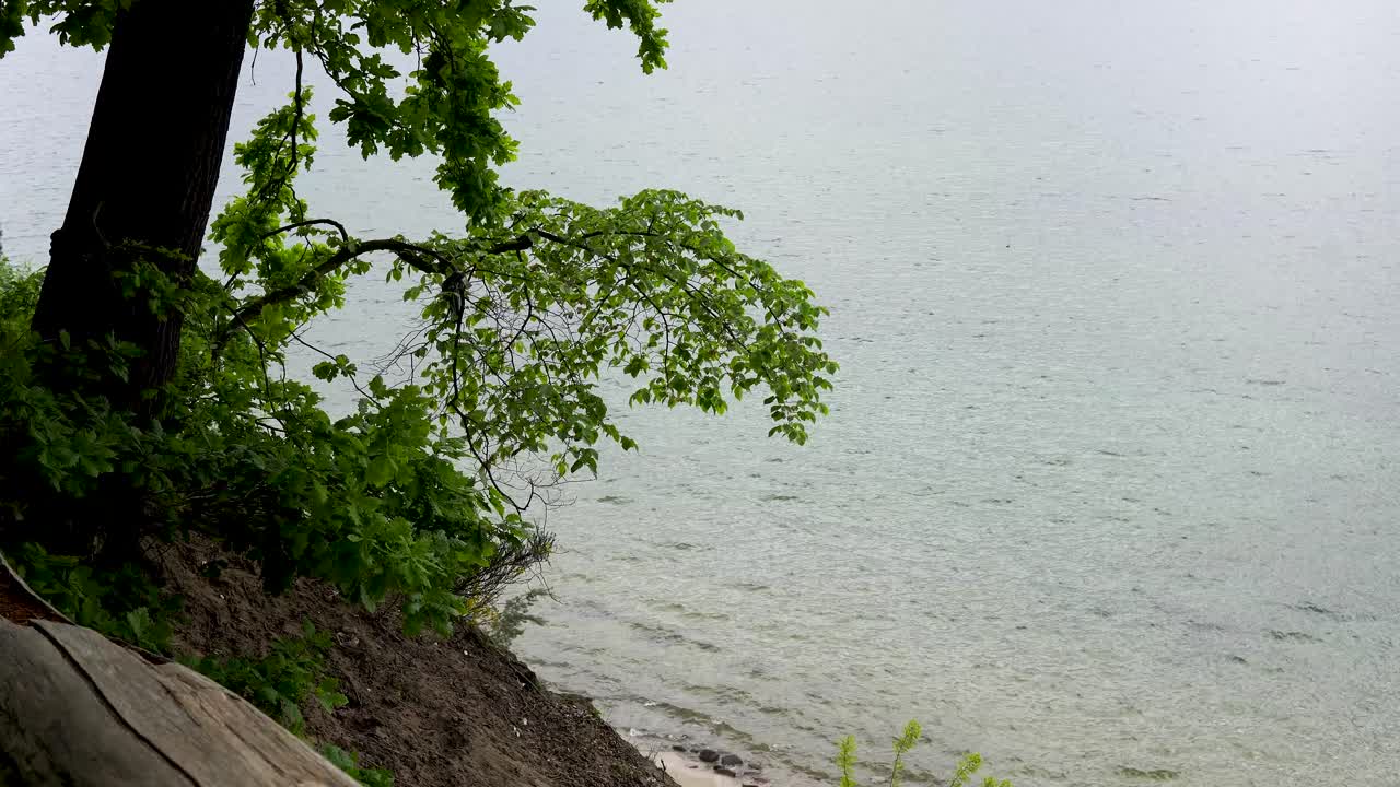 절벽. 해안. 보다. 여름 시간