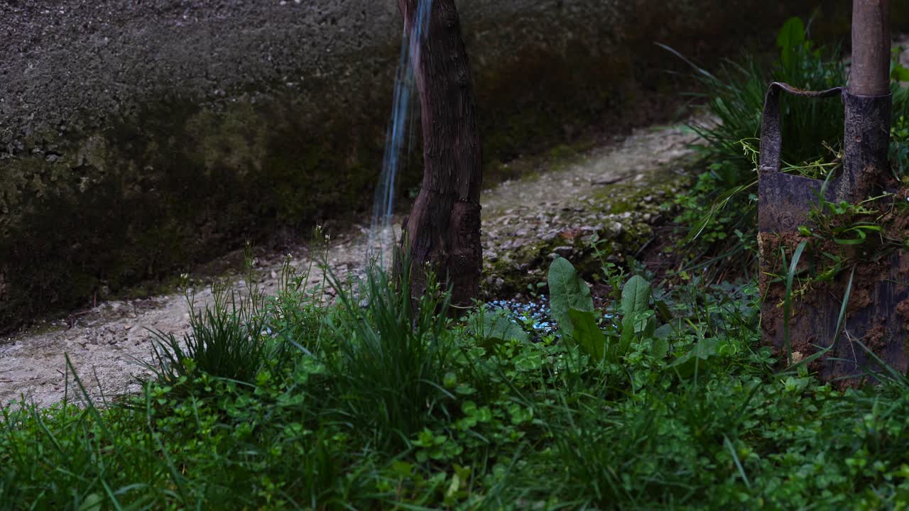 포도 나무 주위 토양을 파고 작업자 남자의 삽과 발의 근접