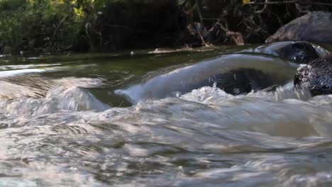 Verschmutzter-Fluss-In-Aguas-Formosas,-Minas-Gerais,-Brasilien-1