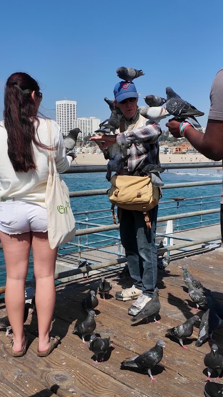 Bird man on Santa Monica pier feeding pigeons with tourists vertical