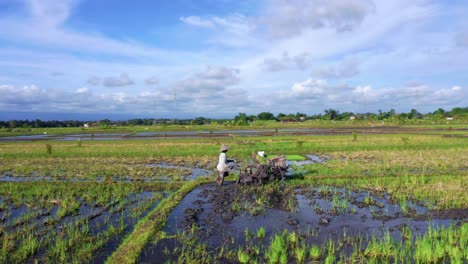 Un-Agricultor-De-Arroz-Trabajando-En-Campos-Arando-Con-Tractor-Cerca-De-Seseh,-Bali,-Indonesia.