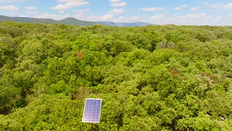 Toma-Lenta-Y-Reveladora-De-Un-Claro-De-Bosque-Con-Paneles-Solares-En-Puéchabon.