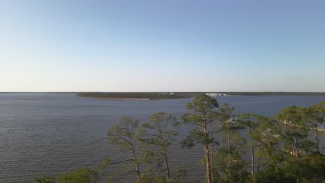 a reveal of an inlet through the trees