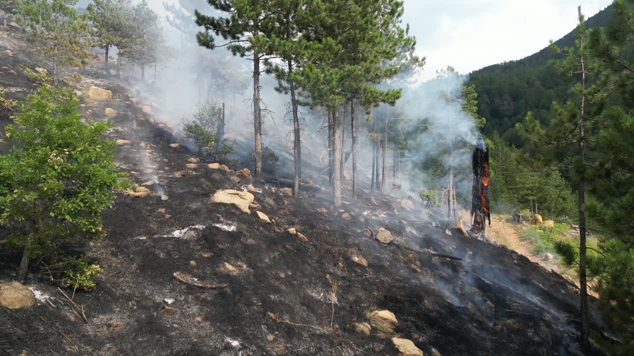 Forest Fire Aftermath: Smoke Rising from Charred Landscape