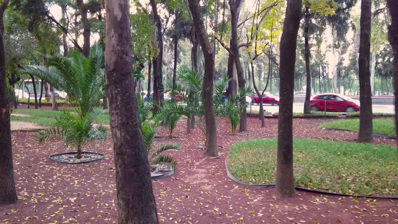 Tranquil City Park with Lush Greenery