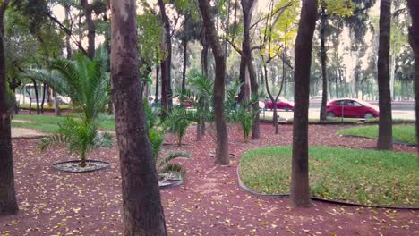 tranquil city park with lush greenery