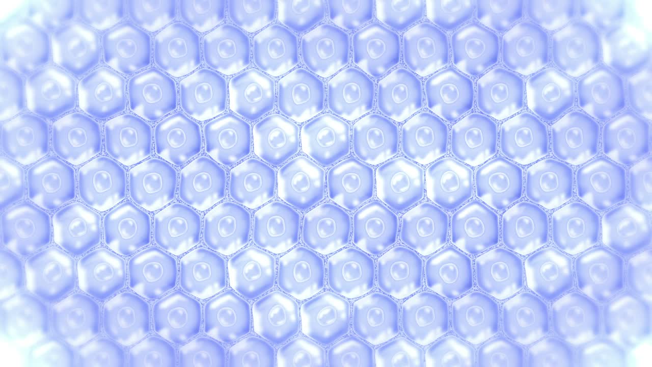 인간 피부 세포: 세포막을 가진 각 세포, 세포 치료, 질병 치료, 핵과 진공, 재생, 루프 애니메이션