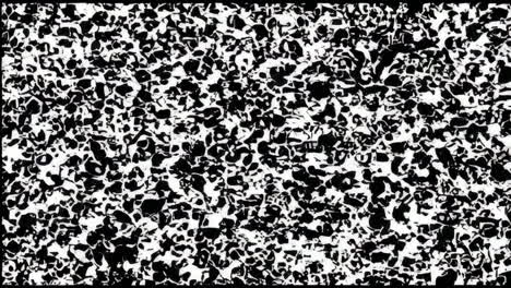 abstract black and white patterns