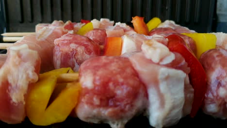deliciosos pinchos a la parrilla, pollo, salchichas y pimienta, de mano, cambio de enfoque