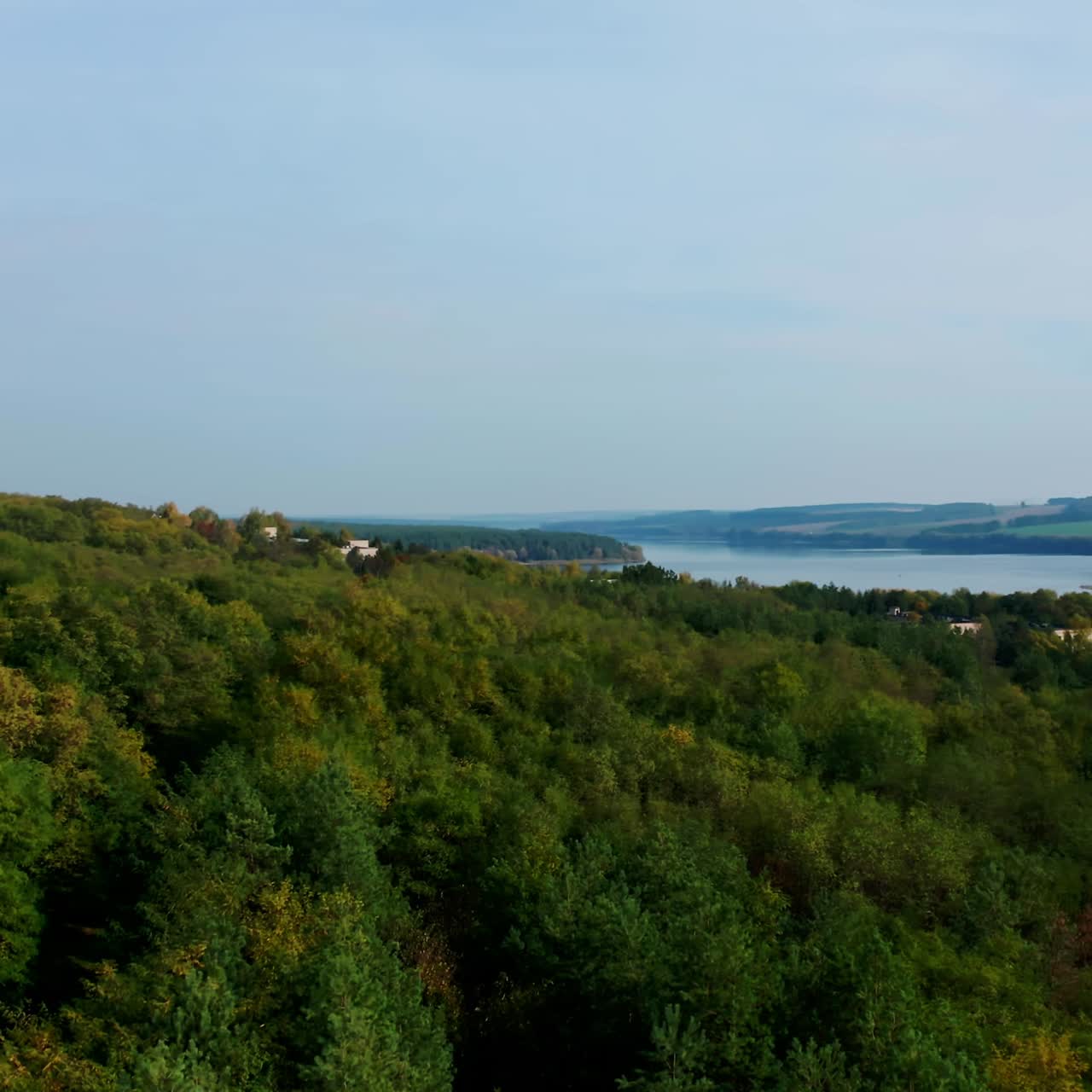 Green nature in the countryside. Beautiful deciduous trees near the field on blue river background. Summer nature in rural place. Aerial view.
