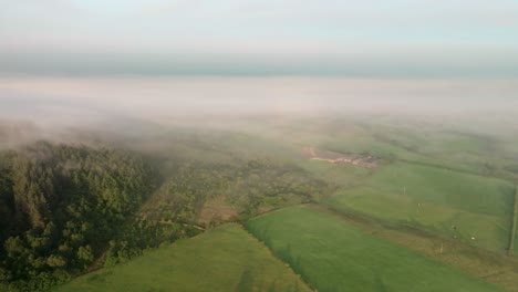 thick mist covering english countryside at sunrise with farmhouses and wooded hillside. summer. trough of bowland, lancashire, england, uk