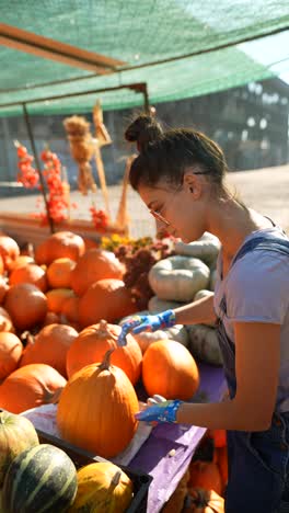 mujer recogiendo calabazas en un mercado de otoño