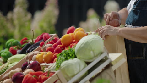 el vendedor pone las patatas en una bolsa de papel. vendiendo verduras en un mercado de agricultores
