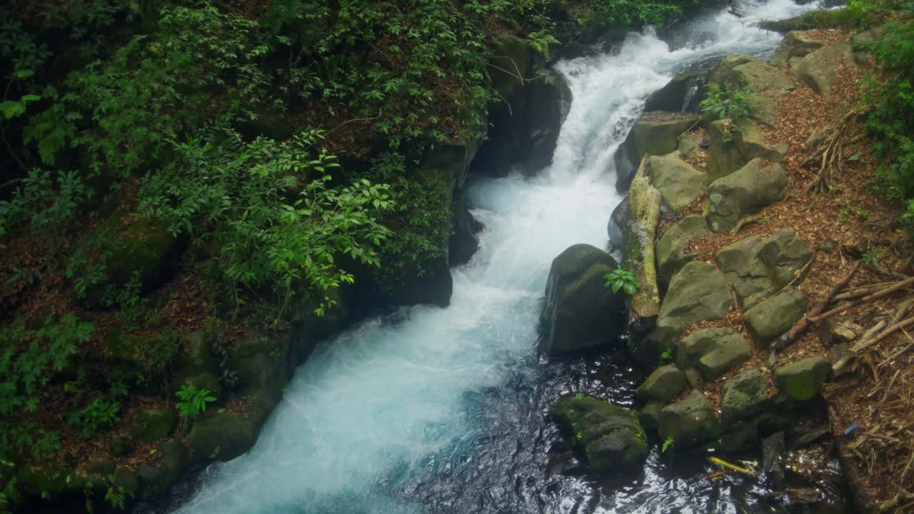Gentle water flows slowly over stones, surrounded by lush jungle in a tranquil natural scene