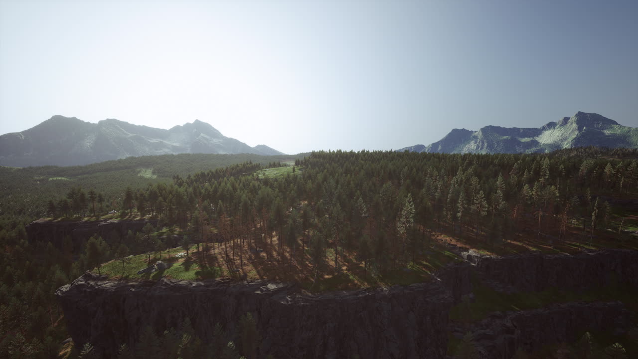 paisaje forestal de montaña