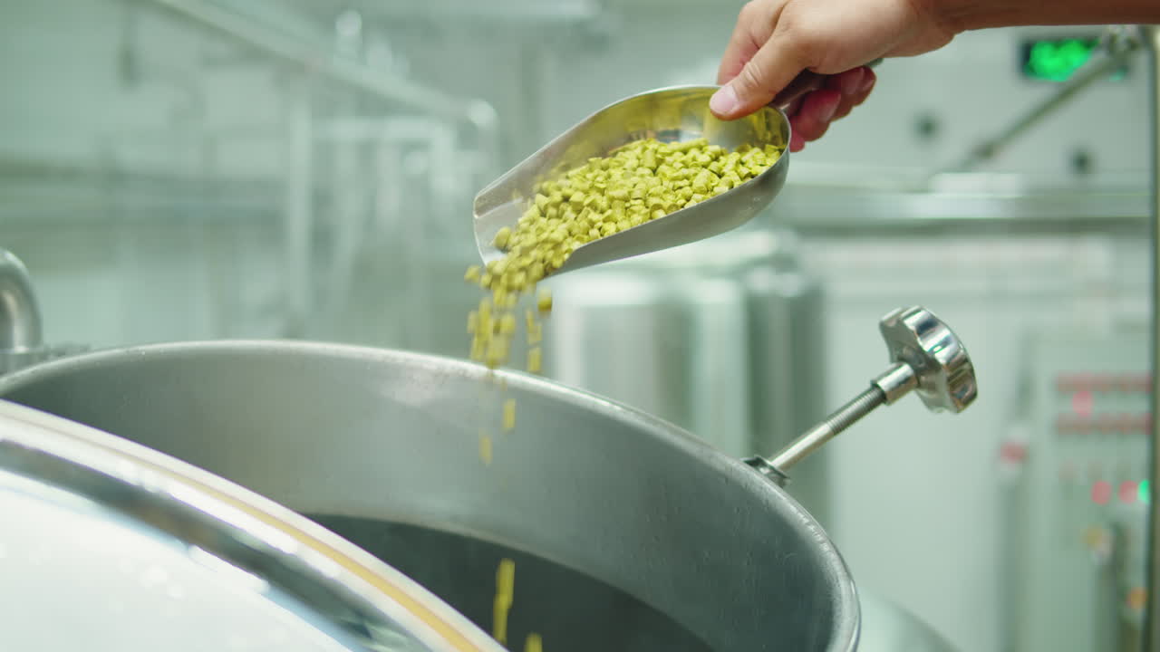 Craft beer production factory, brewery manufacture. Putting barley malt grains close-up. Brewing, cooking alcohol in metal vats bottles