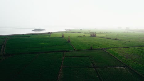 Mañana-Brumosa-Sobre-Campos-Verdes-Paquistaníes,-Luz-Solar-Brumosa,-Vista-Aérea