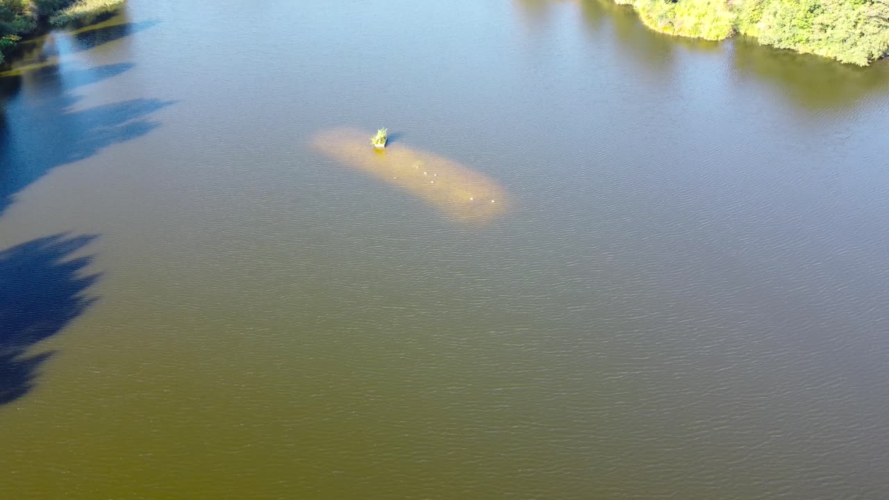 tiro medio orbital de la pequeña isla en un lago en norwich, inglaterra