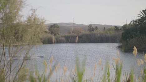 neot smadar kibbutz's irrigation pond, featuring a floating water pump used for permaculture, surrounded by desert vegetation, slow motion reveal shot