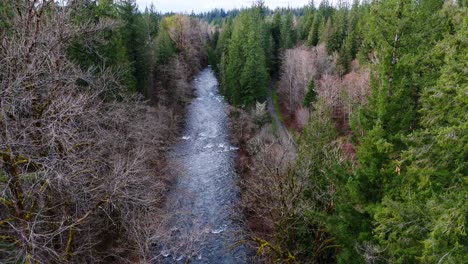 Beautiful-Aerial-view-of-Cedar-River-flowing-though-Evergreen-Forest-in-Washington-State