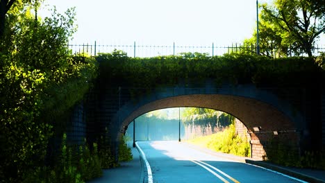 arch bridge with living bush branches in park