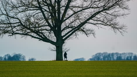 Mujer-Sentada-Bajo-Un-árbol-Alto,-Campo-De-Hierba-Cielo-Despejado-Lapso-De-Tiempo-Naturaleza