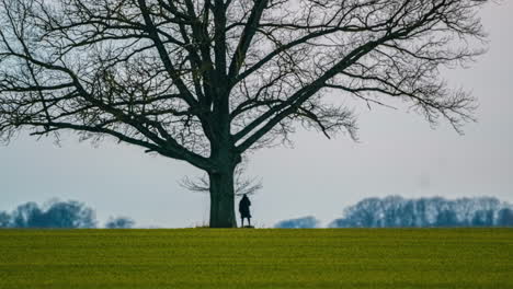 mujer sentada bajo un árbol alto, campo de hierba cielo claro lapso de tiempo naturaleza