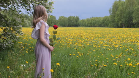 niña caucásica con vestido rosa sosteniendo una rosa en el prado floreciente de flores silvestres, tiro panorámico