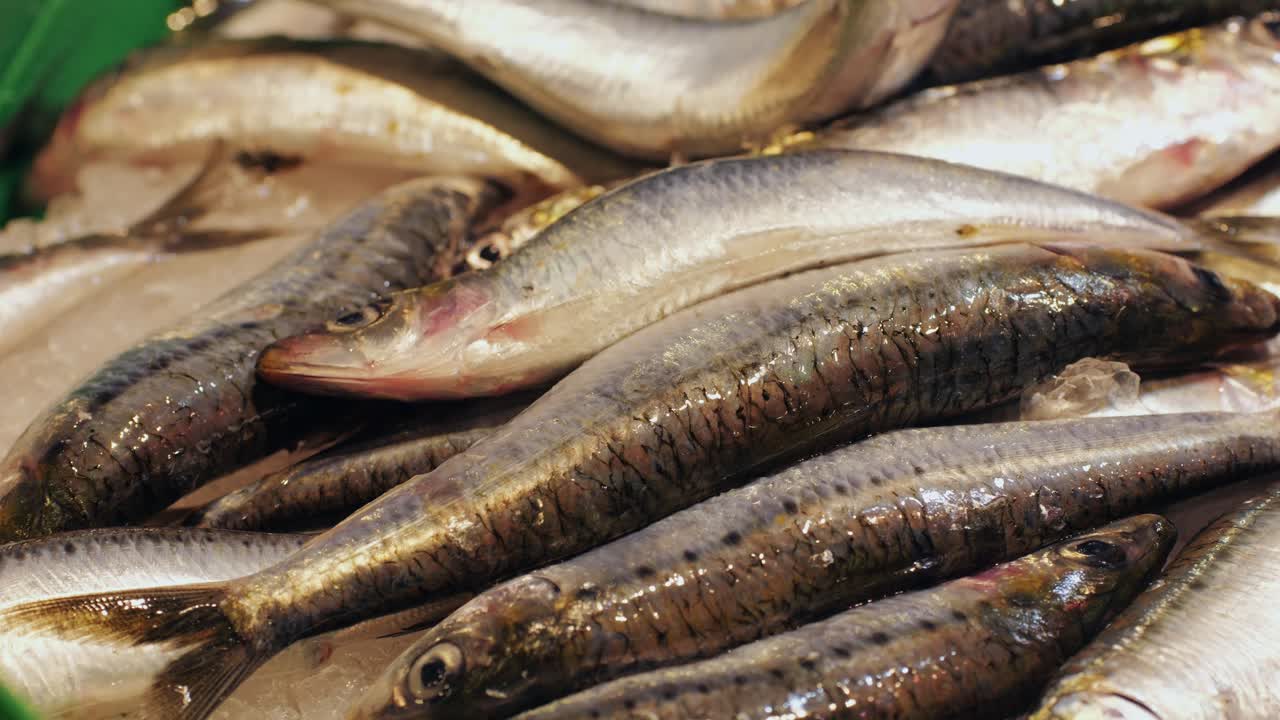A vibrant and colorful display of an array of fresh fish showcasing various species that are ready for sale