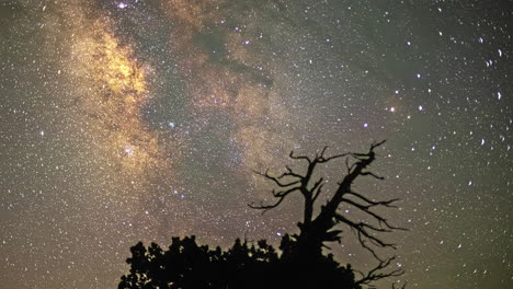 el lapso de tiempo de la vía láctea sobre siluetas de la naturaleza.