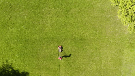 man mowing the lawn, cutting fresh long green garden grass, aerial top down view