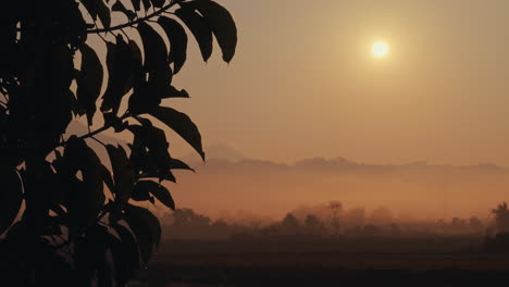 misty sunrise over the mountains