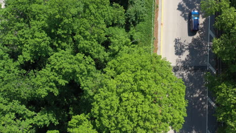 a top down view over a parkway median with luscious green trees