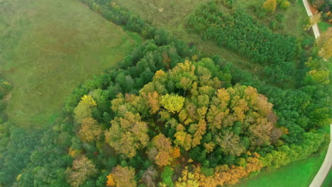 Aerial-drone-forward-moving-shot-over-green-grasslands-and-forest-along-green-meadow-surrounding-village-houses-at-daytime