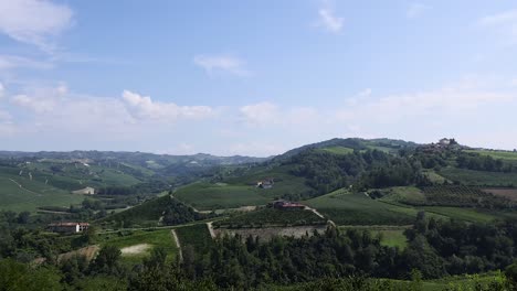 panoramic view of lush vineyards and hills