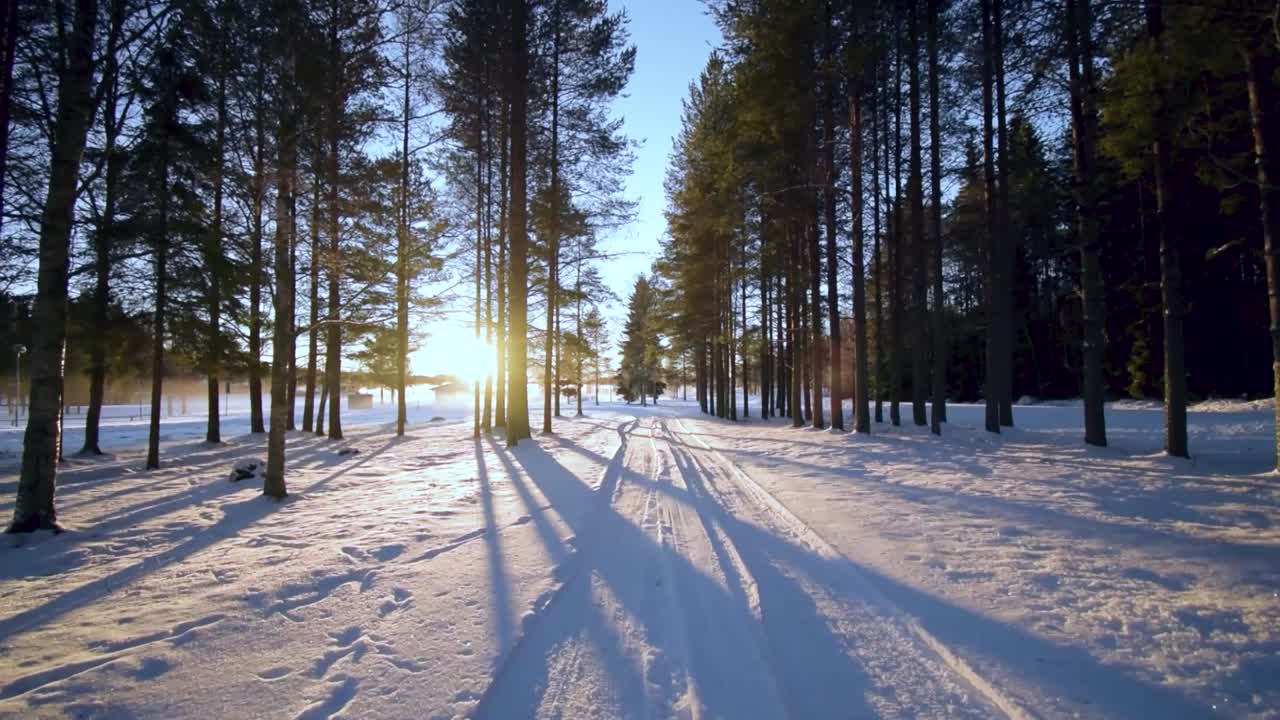 Solnedgang bak en skog i snørike dager